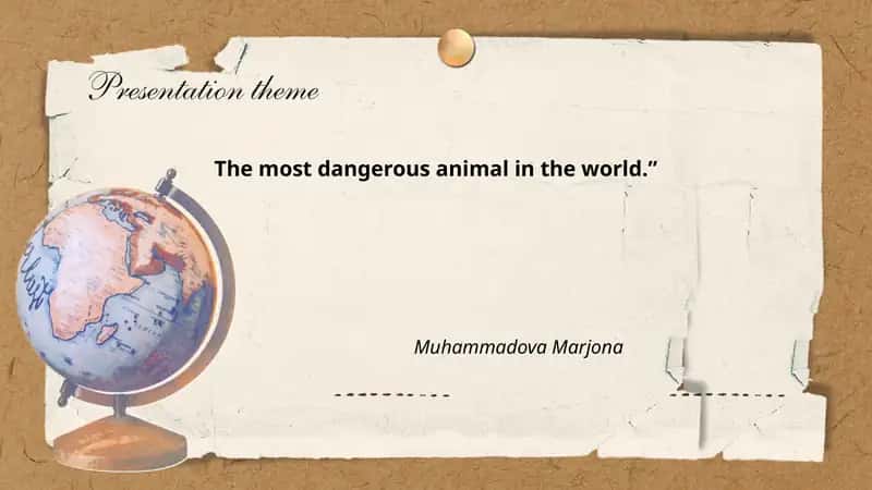 The most dangerous animal in the world