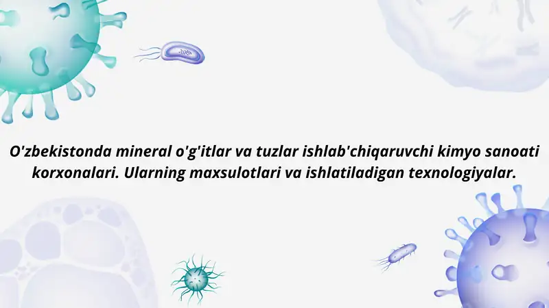 O'zbekiston mineral o'g'itlar va tuzlar ishlab chiqaruvchi kimyo sanoati korxonalari