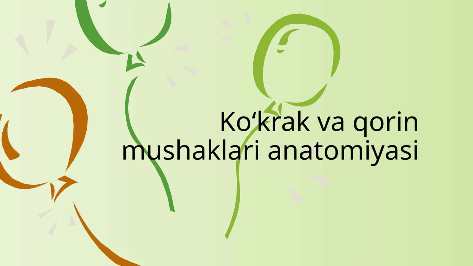 Ko‘krak va qorin mushaklari anatomiyasi
