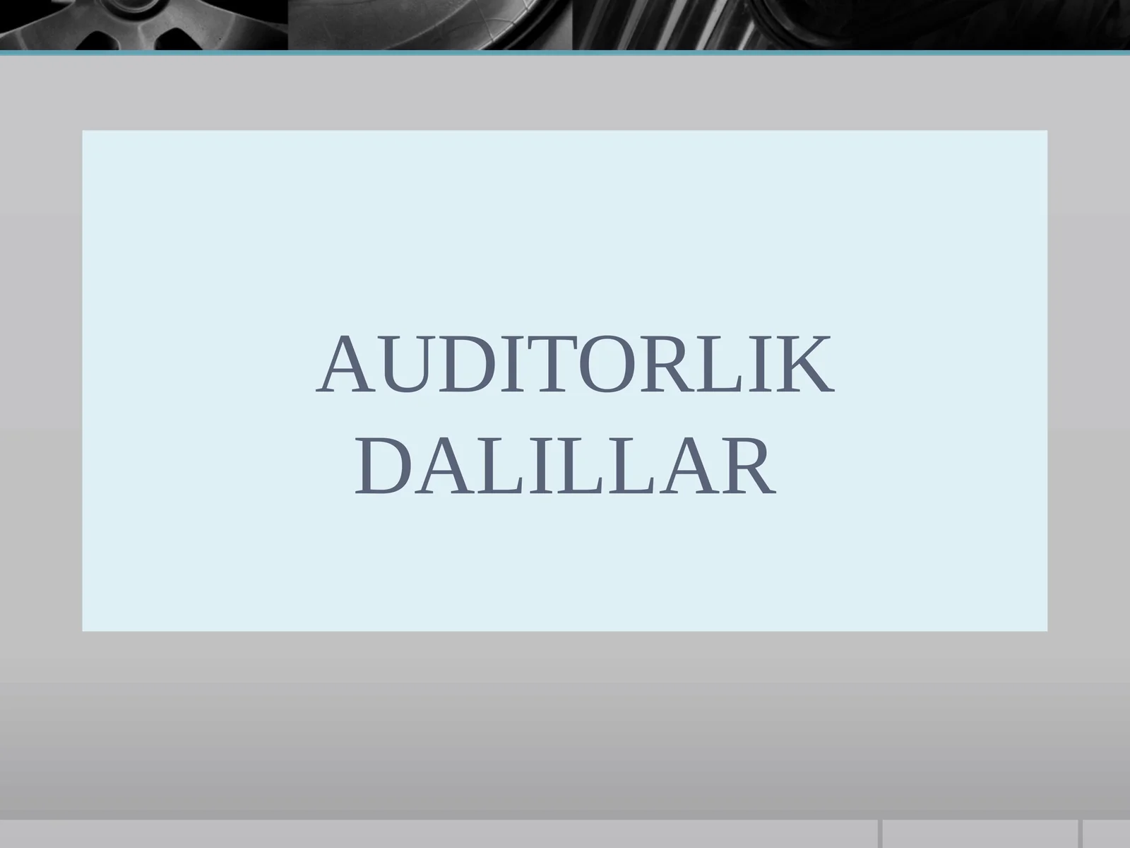 AUDITORLIK DALILLAR