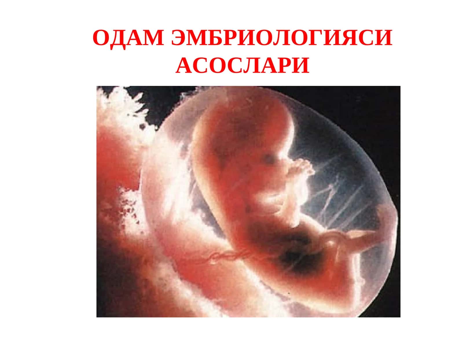 ОДАМ ЭМБРИОЛОГИЯСИ АСОСЛАРИ