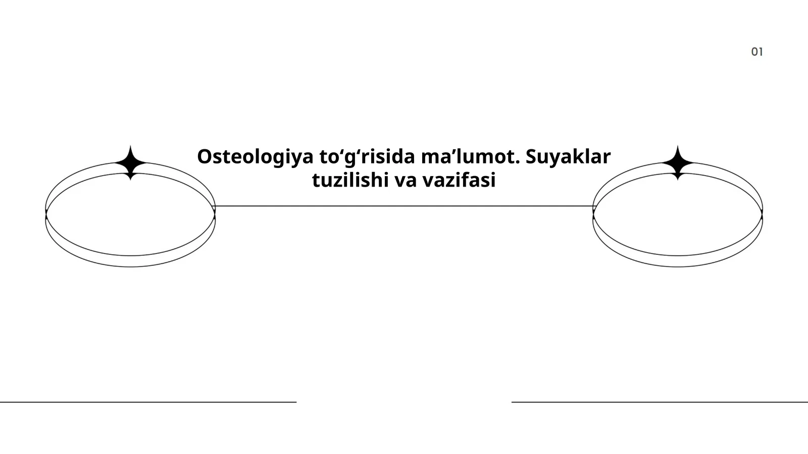 Suyaklar tuzilishi va vazifasi