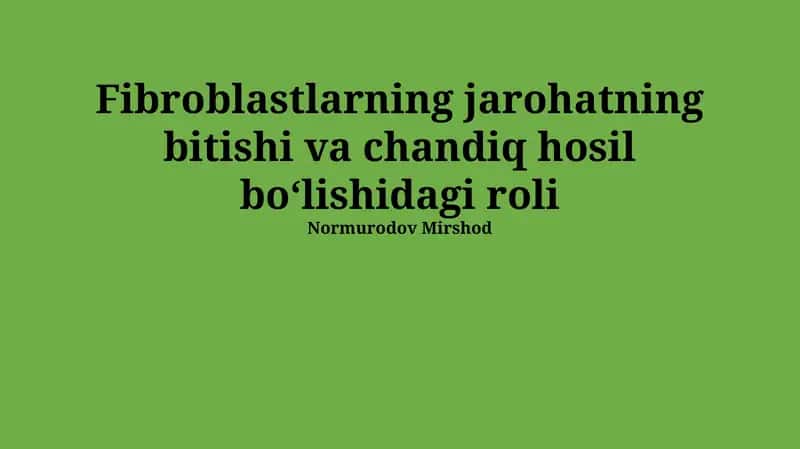 Fibroblastlarning jarohatning bitishi va chandiq hosil boʻlishidagi roli