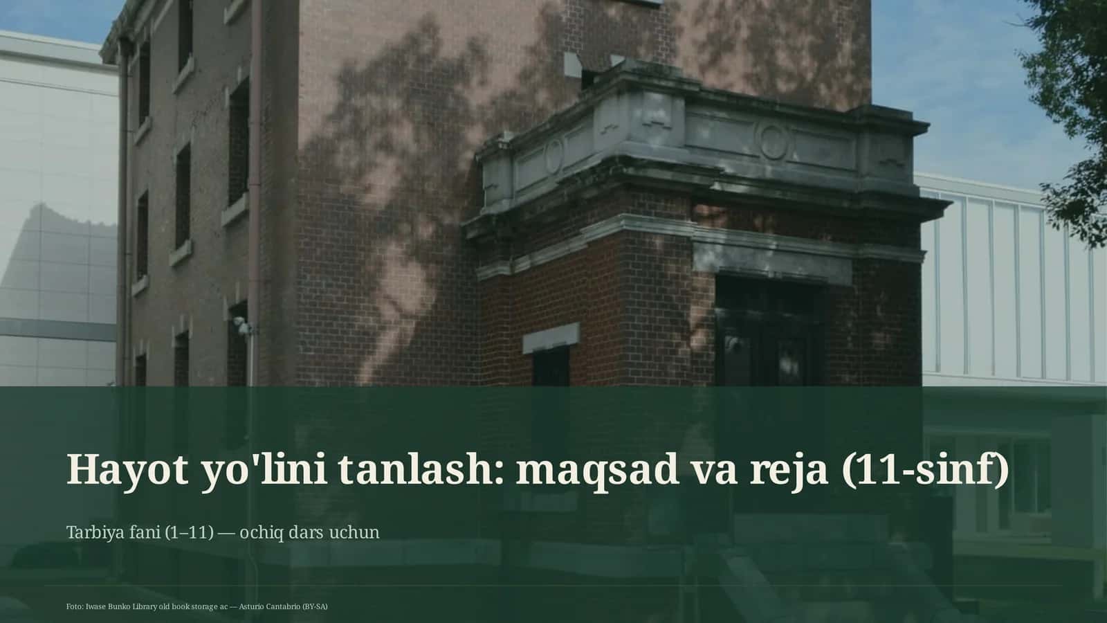 Hayot yo'lini tanlash: maqsad va reja (11-sinf)