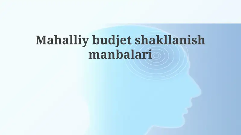 Mahalliy budjet shakllanish manbalari
