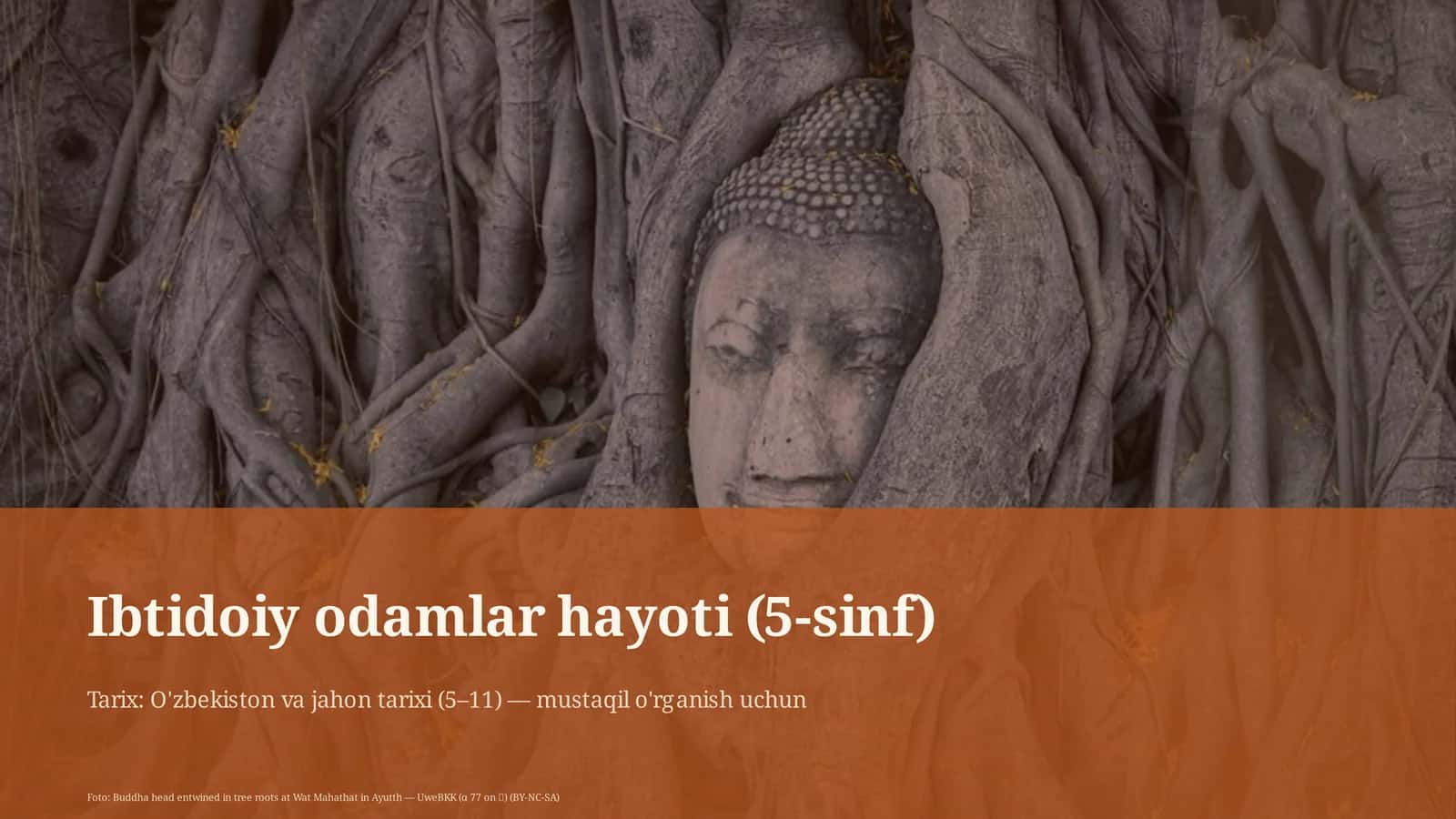 Ibtidoiy odamlar hayoti (5-sinf)