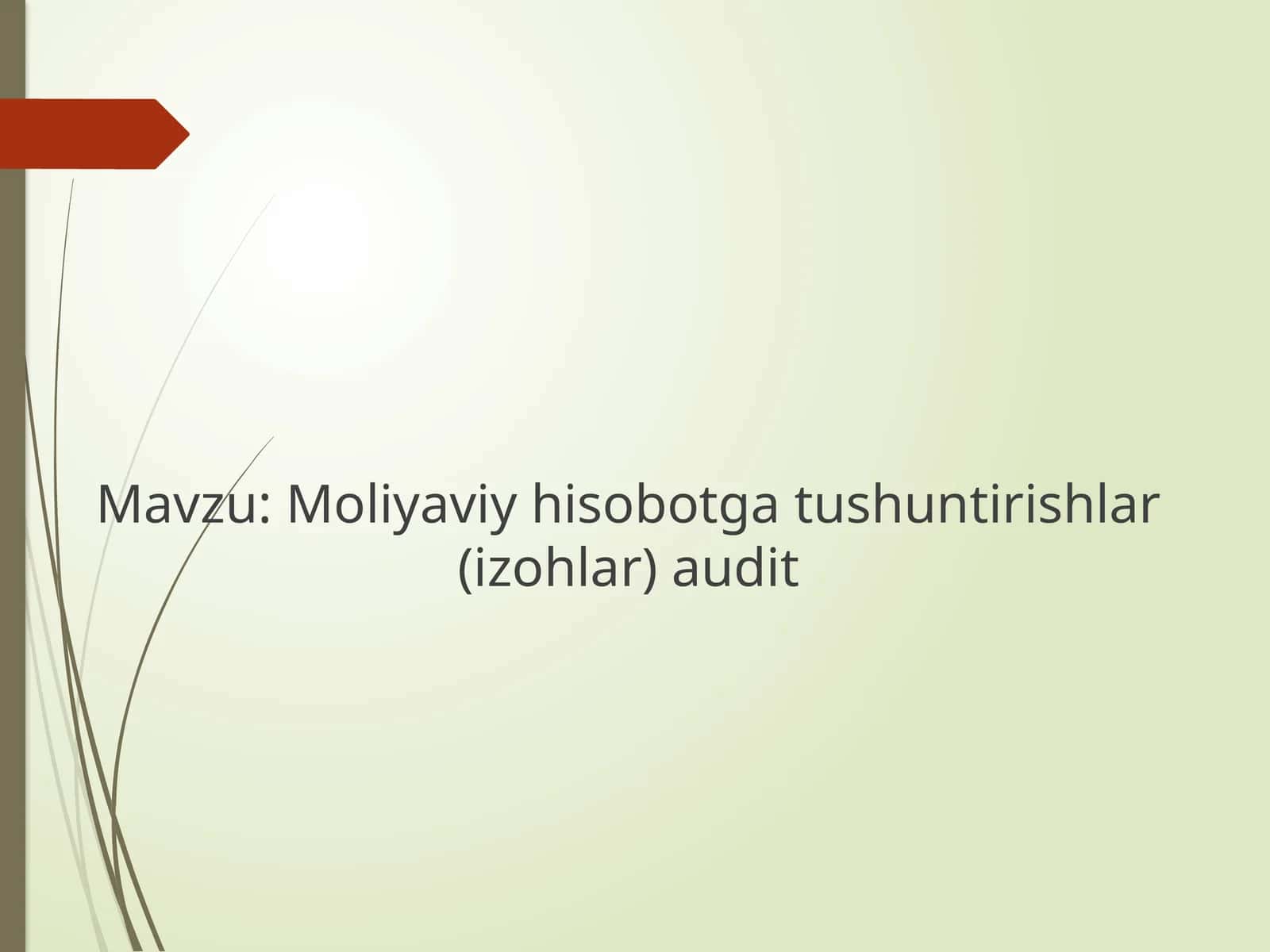 Moliyaviy hisobotga tushuntirishlar(izohlar) audit