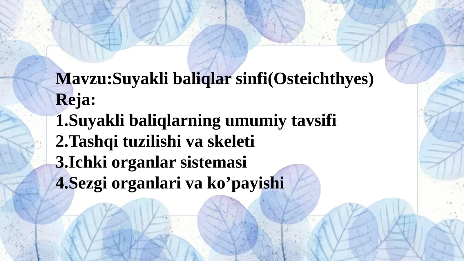 Suyakli baliqlar sinfi(Osteichthyes)