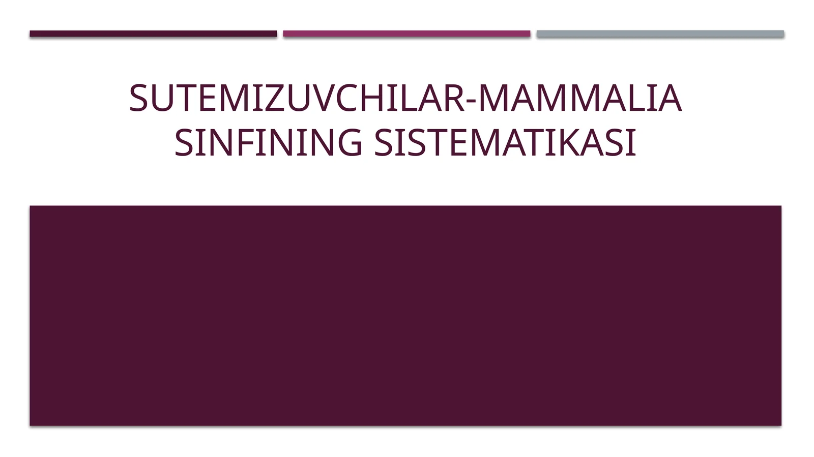 Sutemizuvchilar-Mammalia sinfining sistematikasi