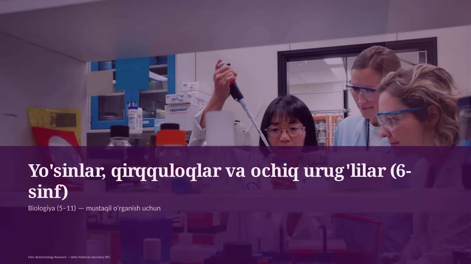 Yo'sinlar, qirqquloqlar va ochiq urug'lilar (6-sinf)