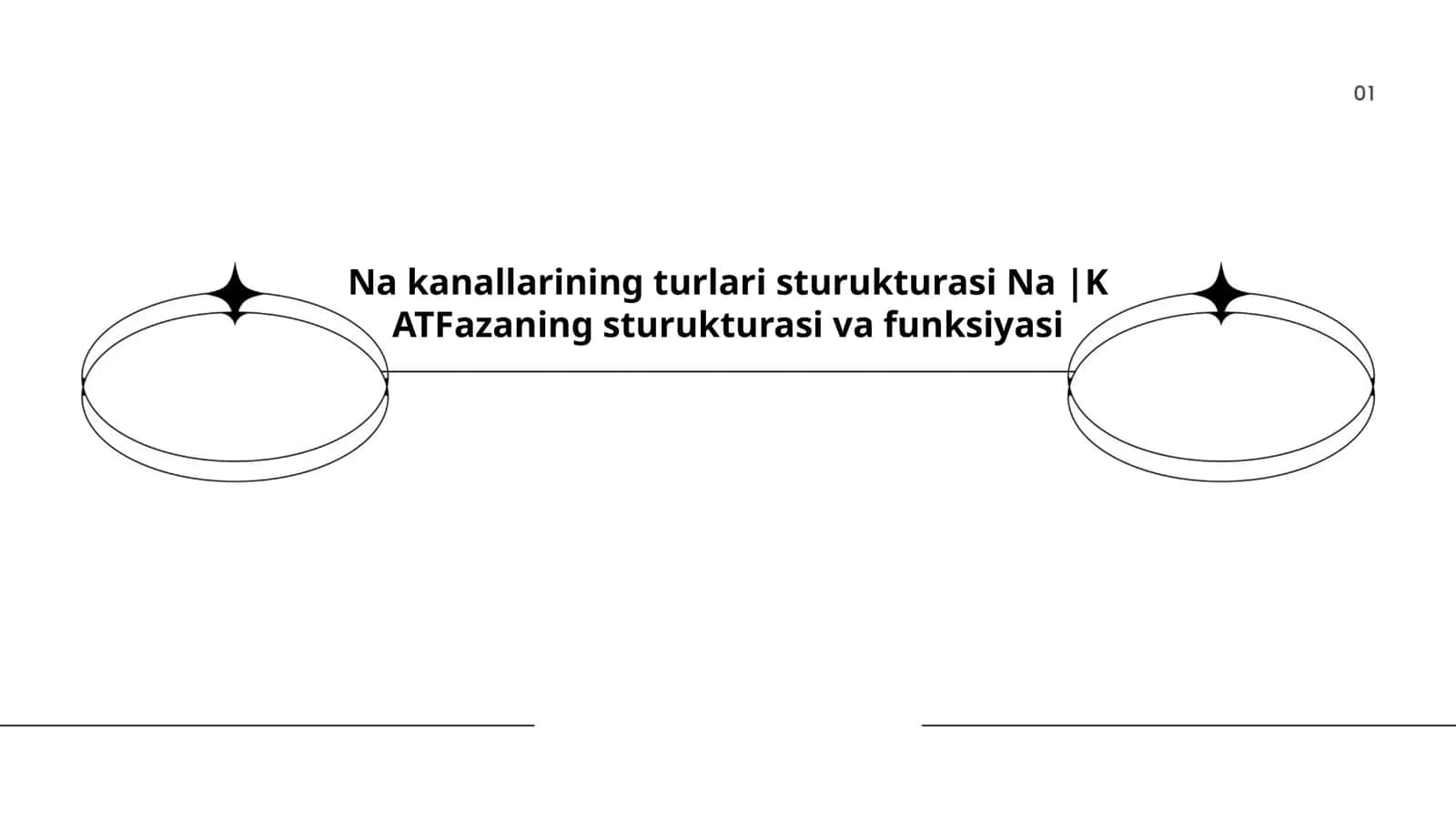 Natriy Kanallari Tuzilishi va Faoliyati