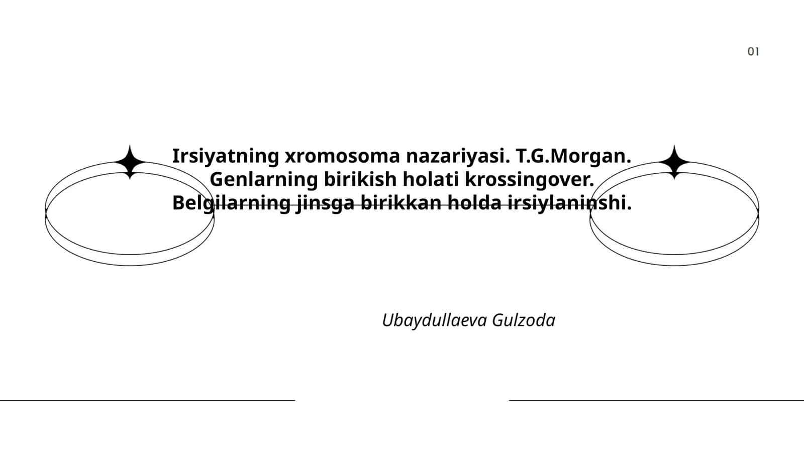 Irsiyatning xromosoma nazariyasi