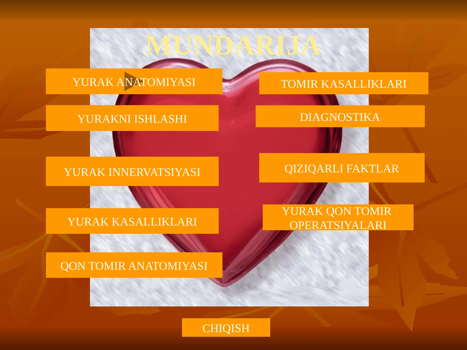 YURAK ANATOMIYASI