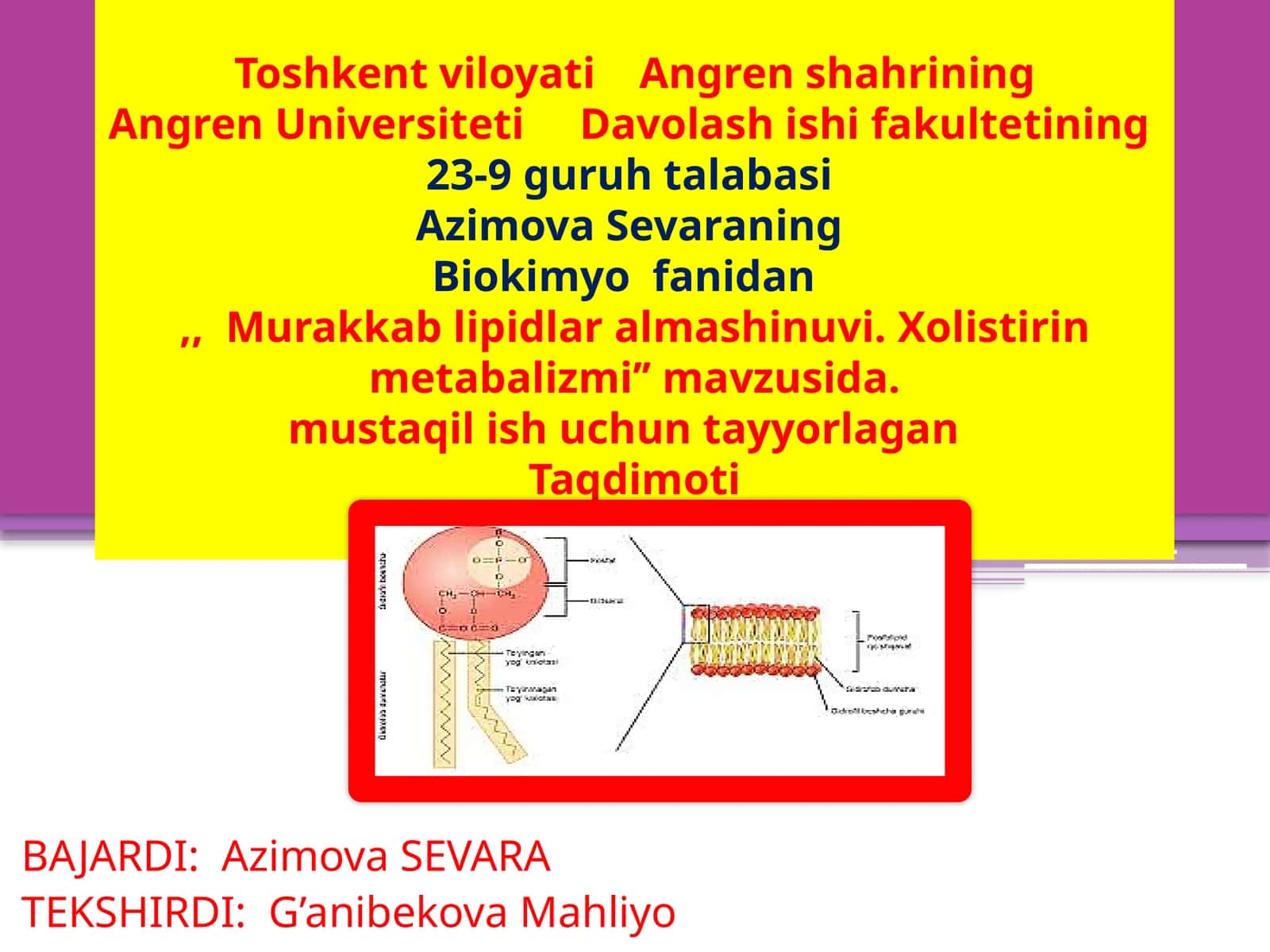 Xolistirin metabolizmi' mavzusida