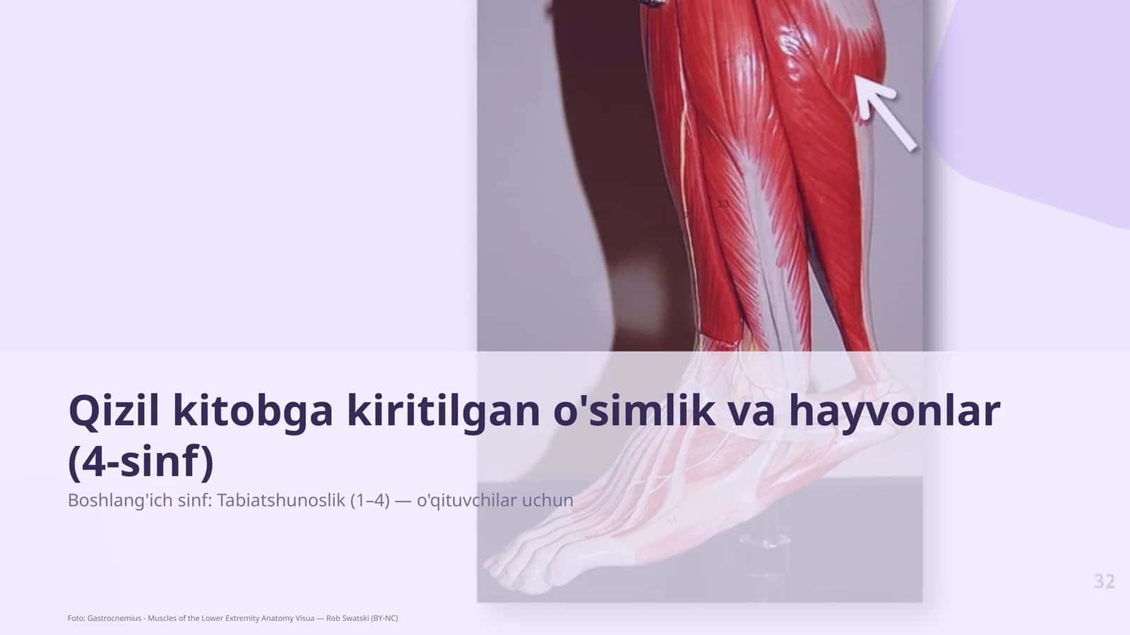 Qizil kitobga kiritilgan o'simlik va hayvonlar (4-sinf)