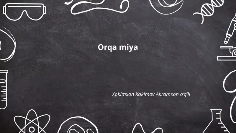 Orqa miya