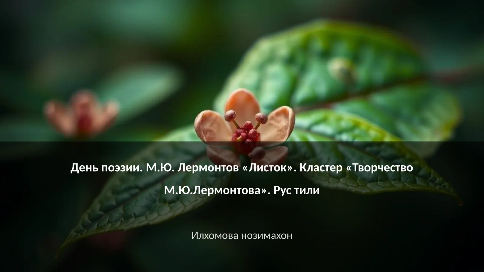 День поэзии. М.Ю. Лермонтов «Листок»