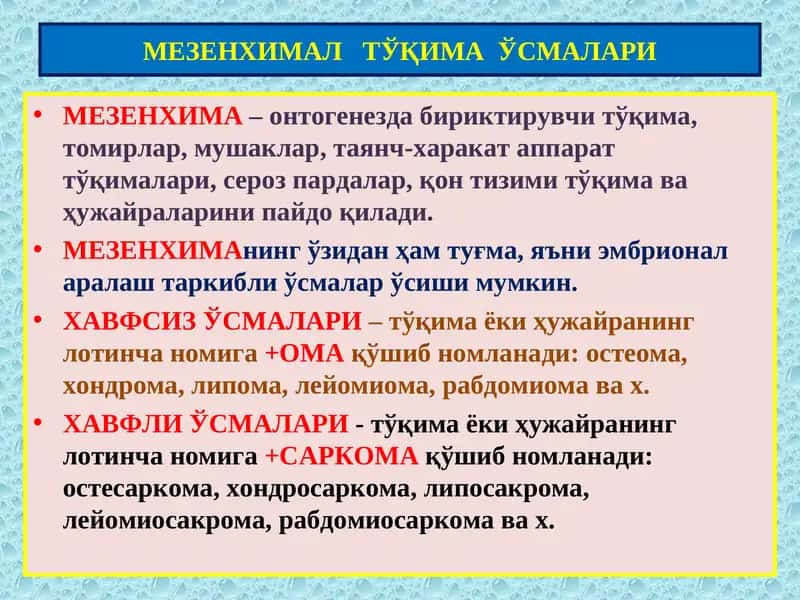 Мезенхима