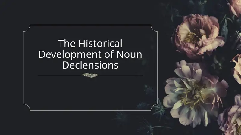 The Historical Development of Noun Declensions