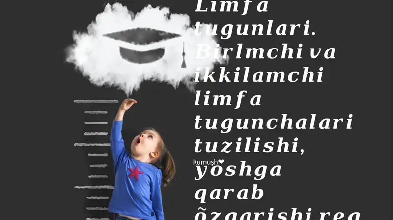 Limfa tomirlari: anatomiyasi va tuzilishi