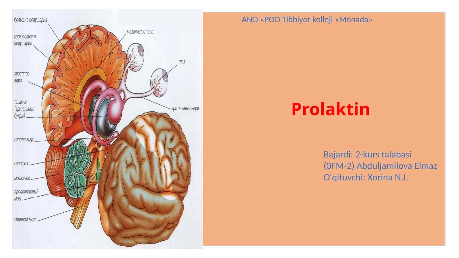 Prolaktin gormoni va uning funksiyalari