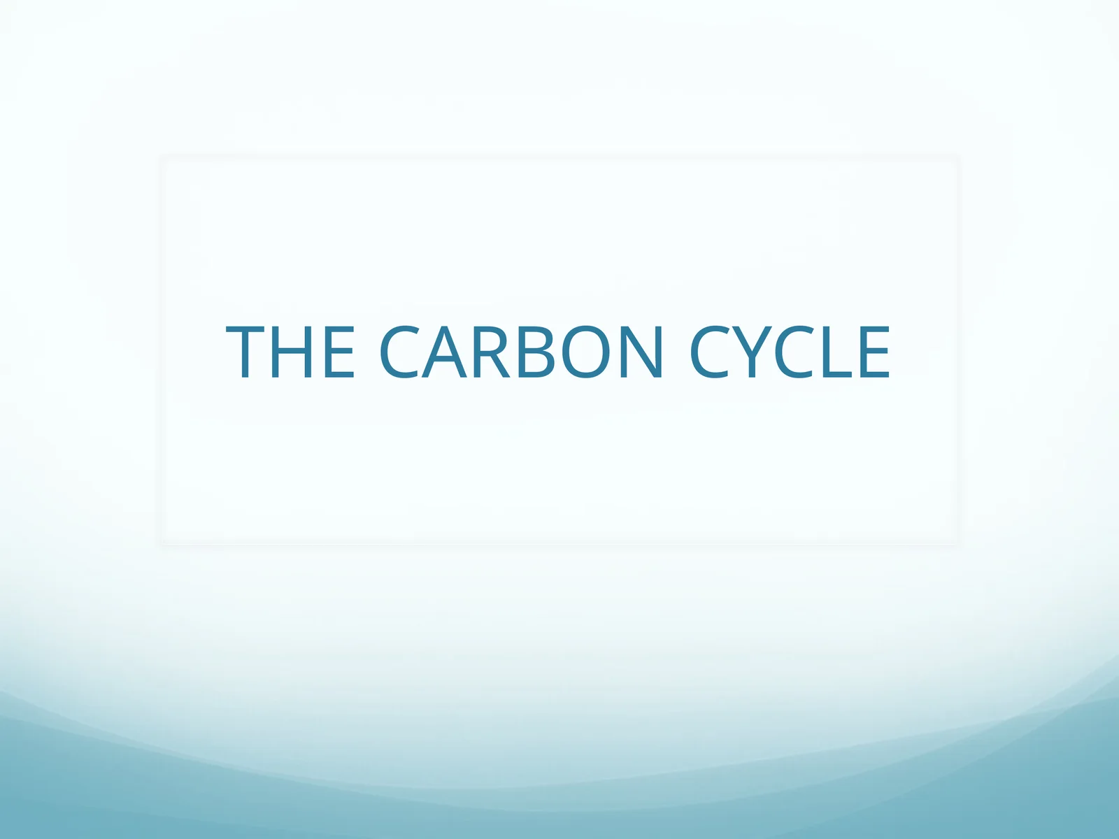 The Carbon Cycle