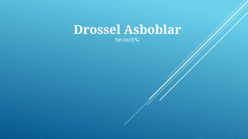 Drossel Asboblar