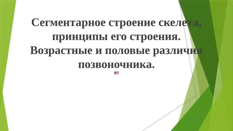 Сегментарное строение скелета и позвоночника