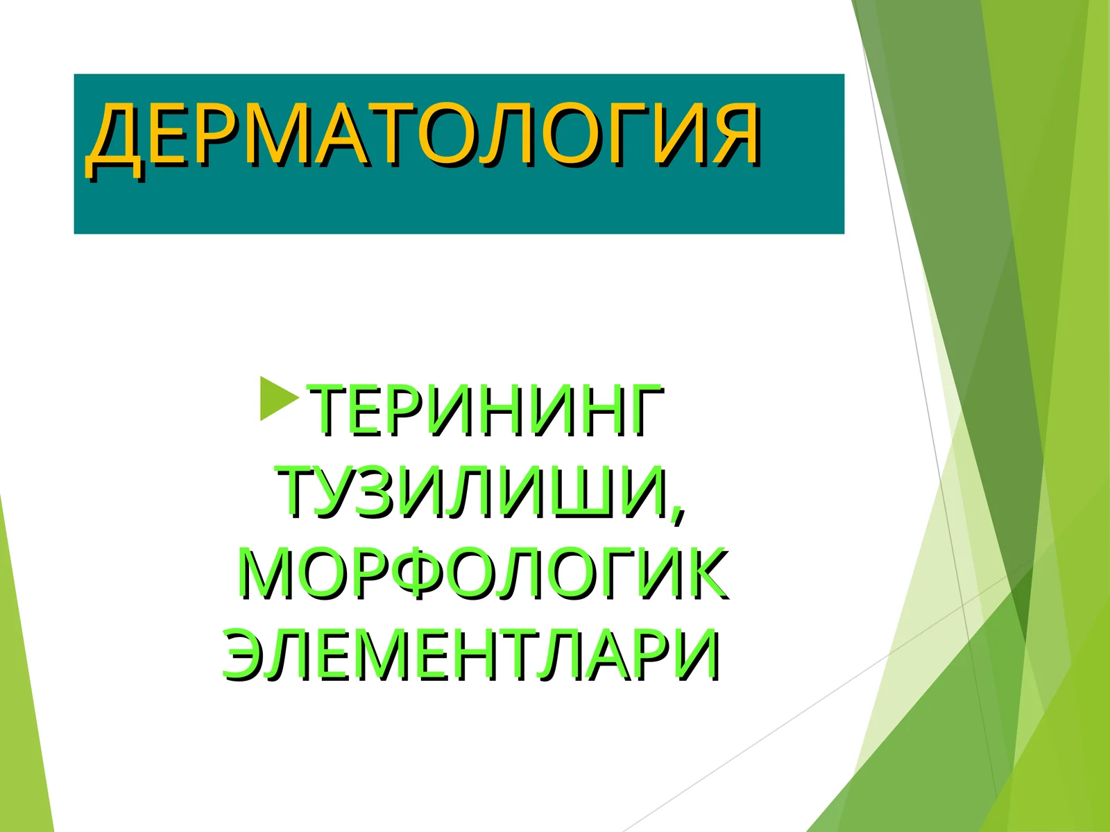 terining tuzilish elementlari