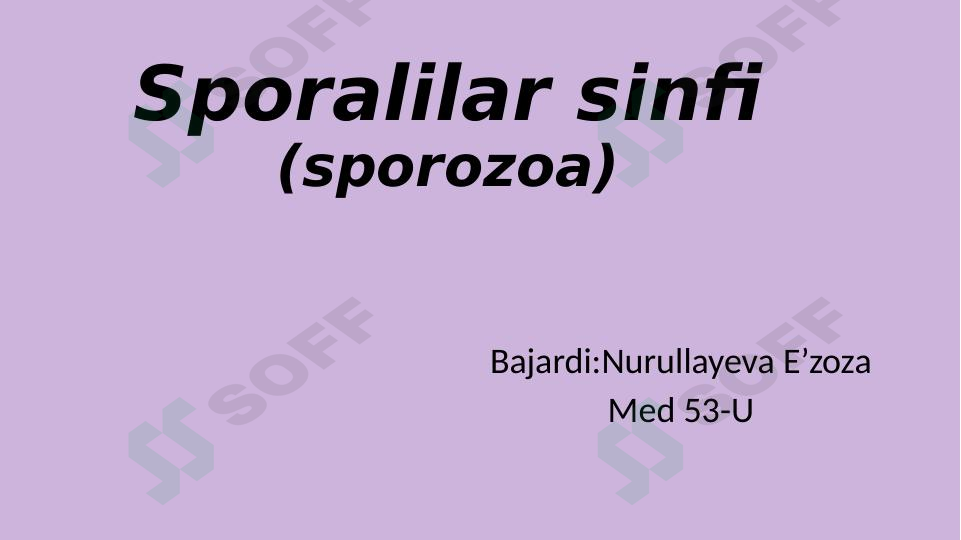 Sporalilar sinfi