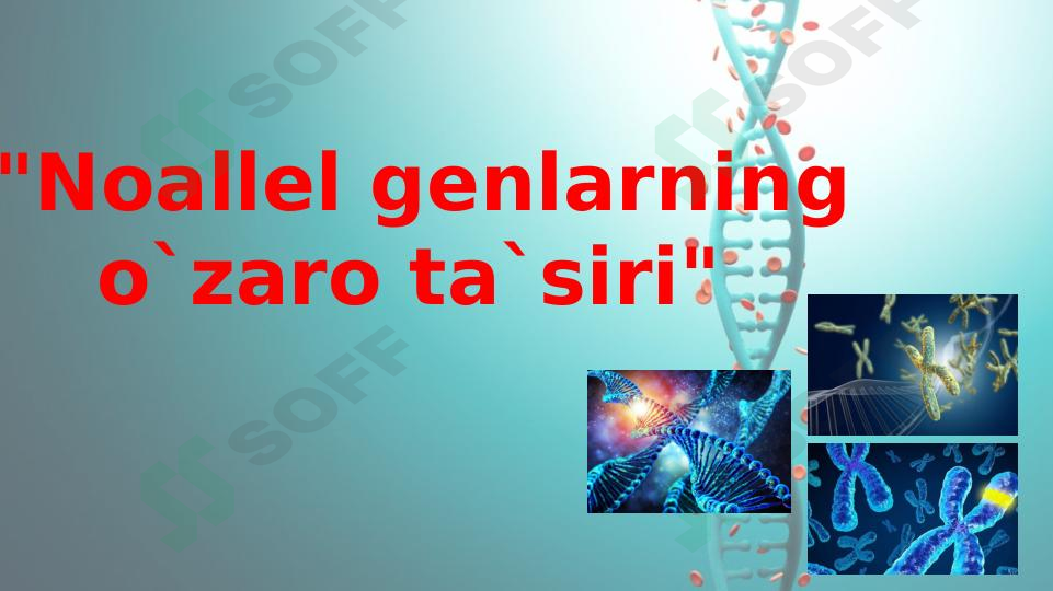 Noallel genlarning o`zaro ta`siri