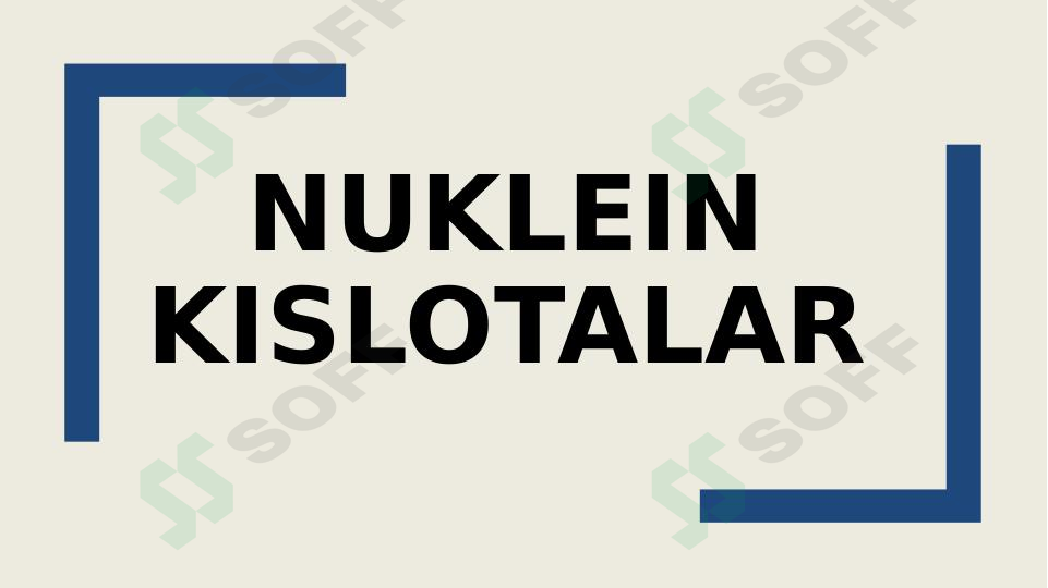 Nuklein kislotalar