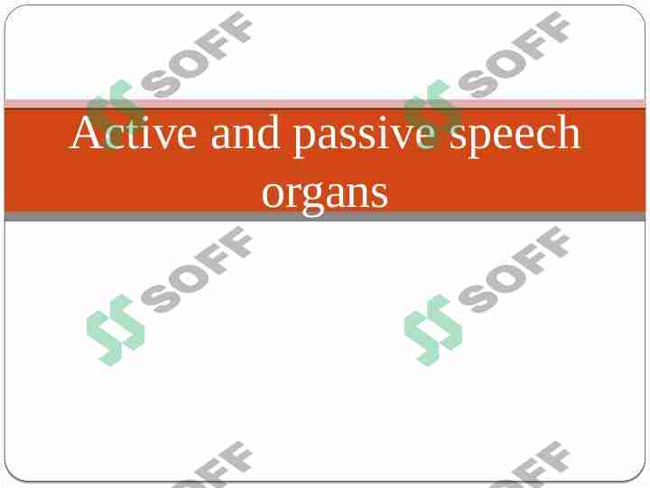 Active and passive speech organs presentation