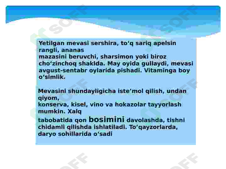 Product slide 6