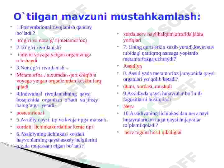 Product slide 8