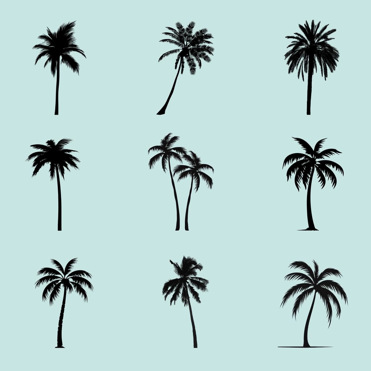 Tropik palma daraxti siluetlari to'plami | Tropical palm tree silhouettes collection