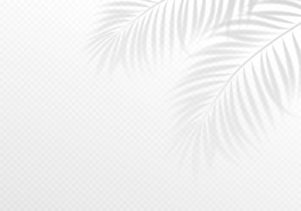 Oq tropik fon rasmi | White tropical wallpaper