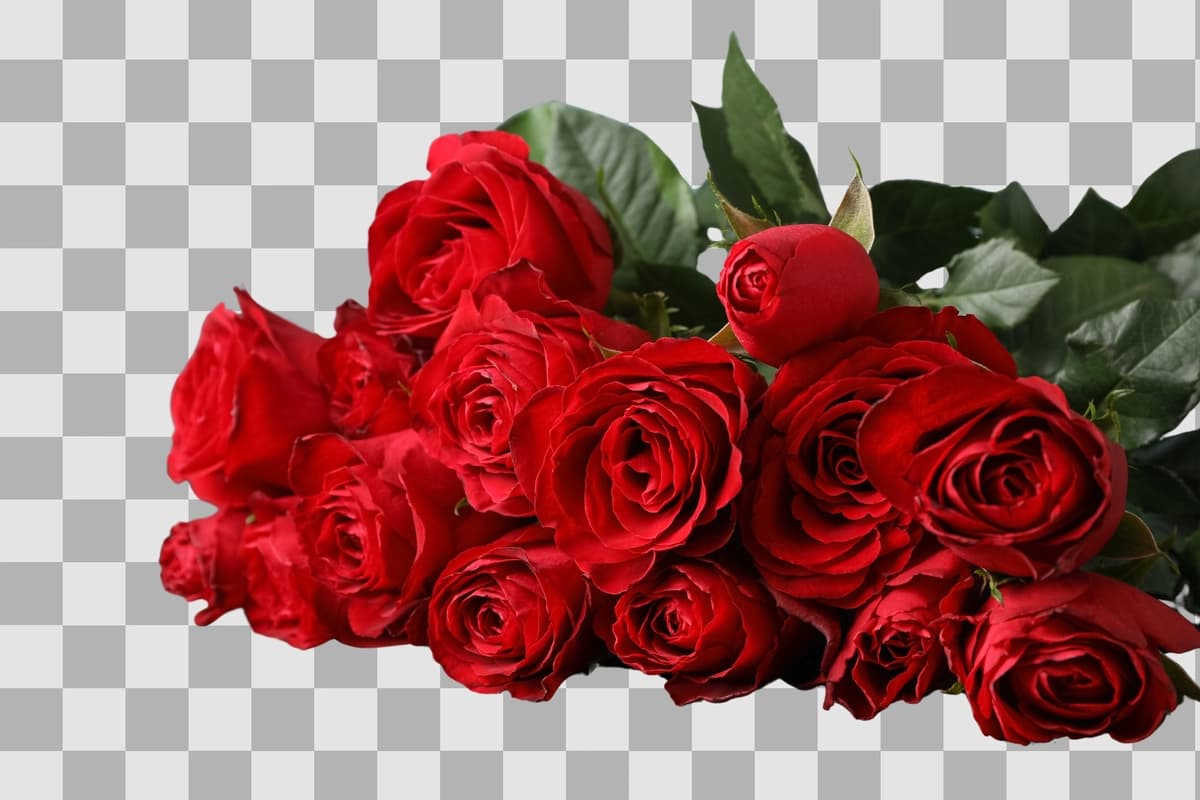Yotgan guldasta qizil atirgullar izolyatsiya qilingan oq fon png | Lying bouquet red roses isolated white background png