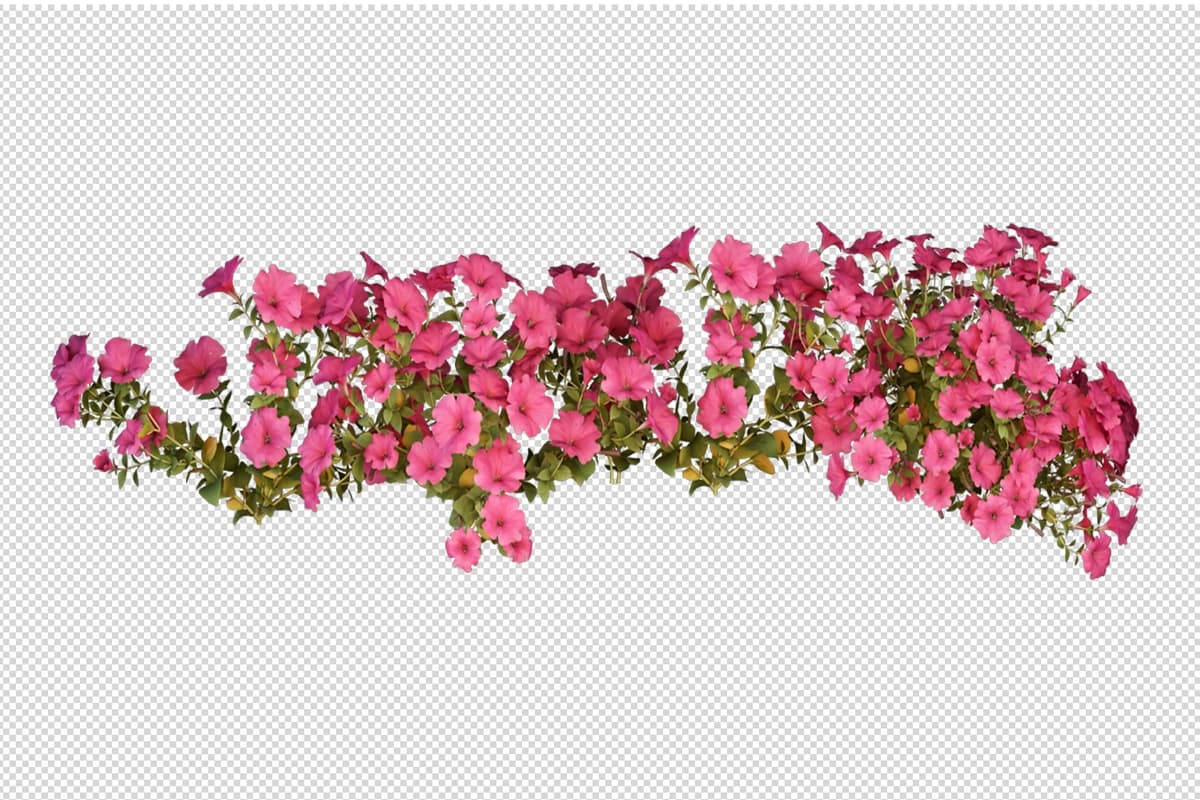 Chiroyli turli xil gullar 3D renderlash izolyatsiya qilingan | Beautiful various kinds flowers 3d rendering isolated