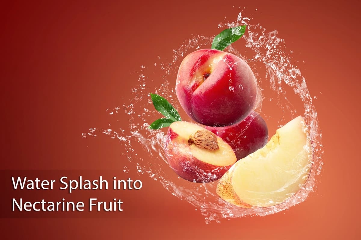 Yangi nektarin mevasi qizil rangda suv sepmoqda | Water splashing fresh nectarine fruit red