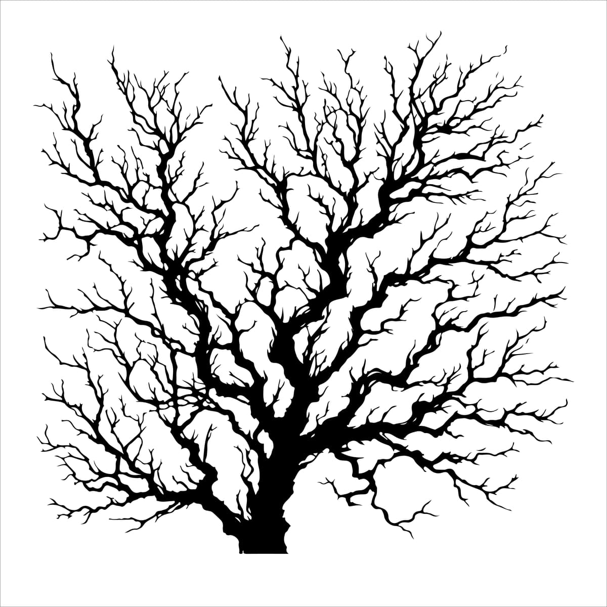 Daraxt so'zlari bilan chizilgan daraxtga ega oq fonli daraxt | Tree with white background that has drawing tree with words tree