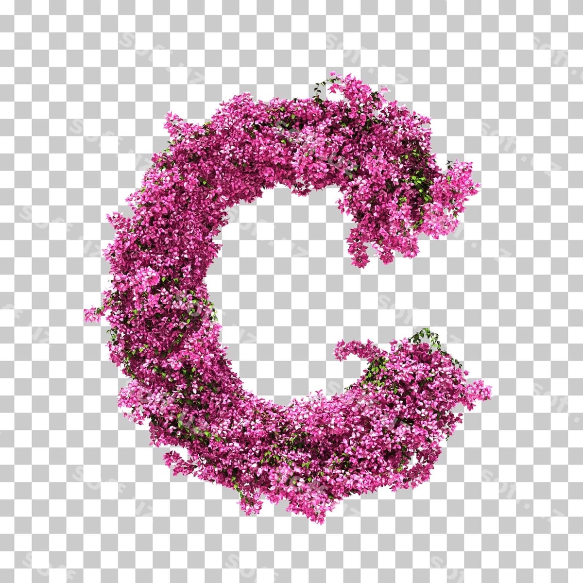 3d rendering buvayngvilla c harfi | 3d rendering bougainvillea letter c