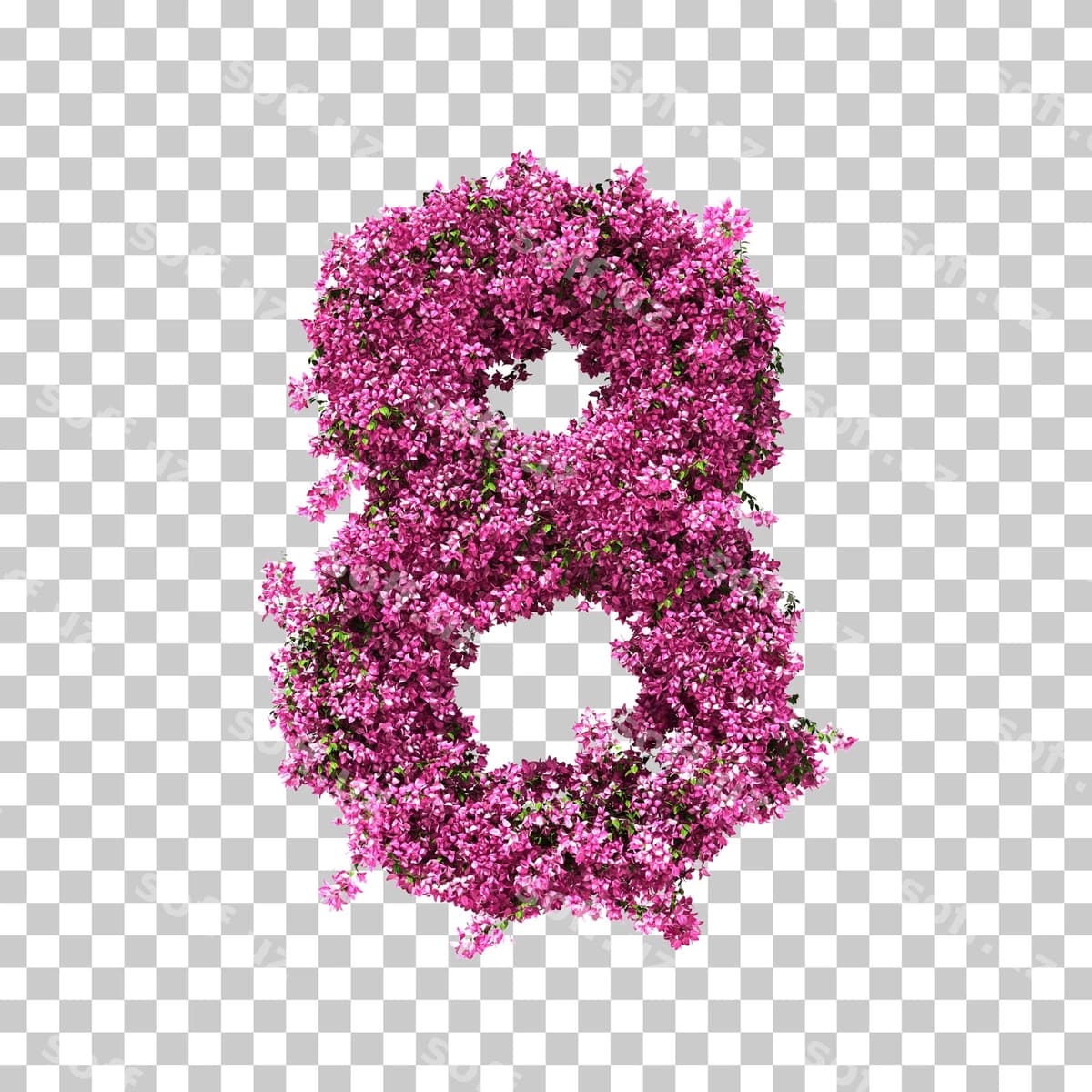 3D render buvaynvoleta 8-raqam | 3d rendering bougainvillea number 8