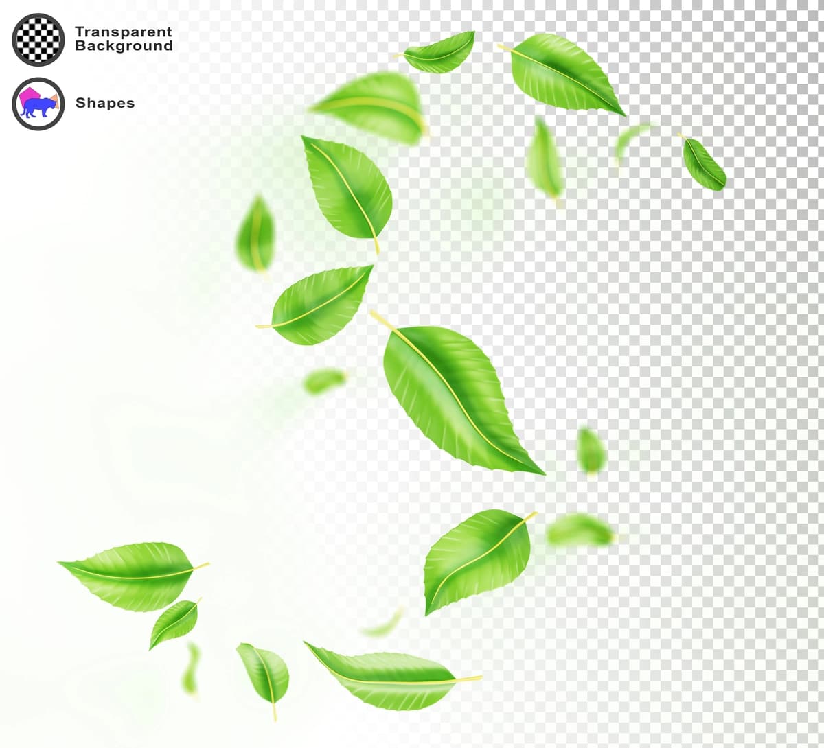 3D mavhum yashil barglar aylanma to'lqin chizig'i spiral shamol effekti izolyatsiya qilingan | 3d abstract green leaves swirl wave line spiral wind effect isolated