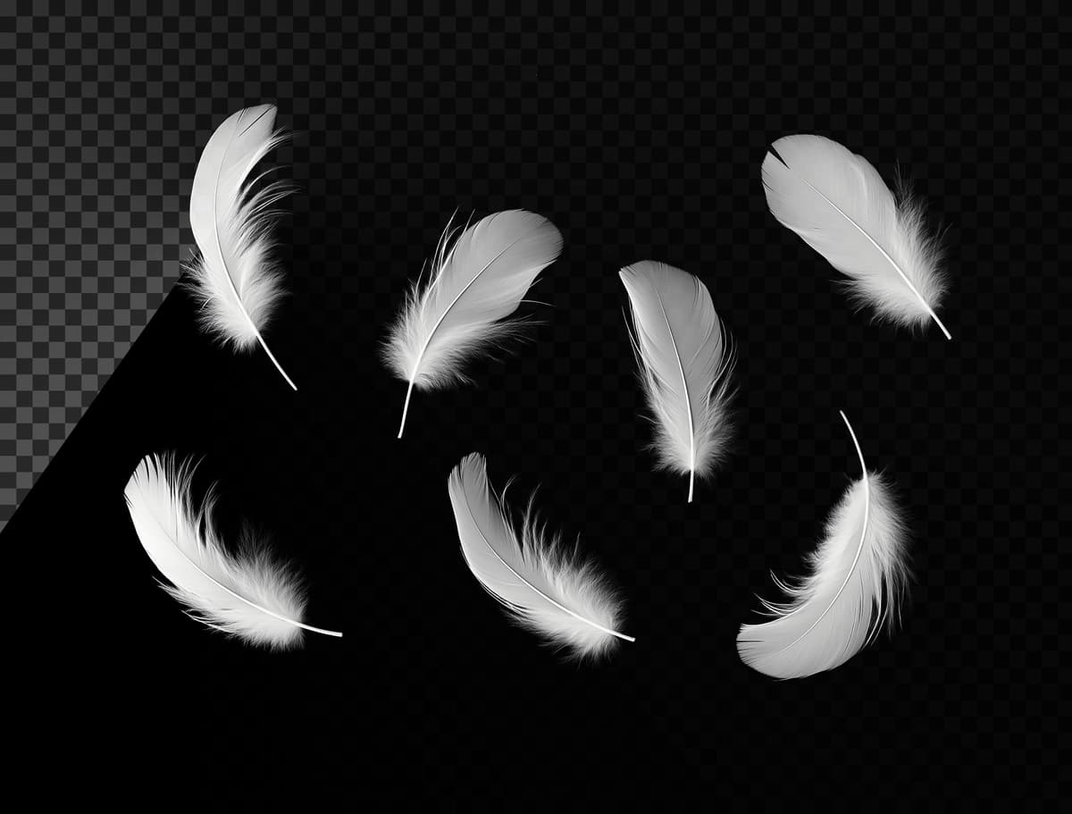 Bir nechta oq patlar suzib yurgan havo qora fon shaffof | Several white feathers floating air black background transparent