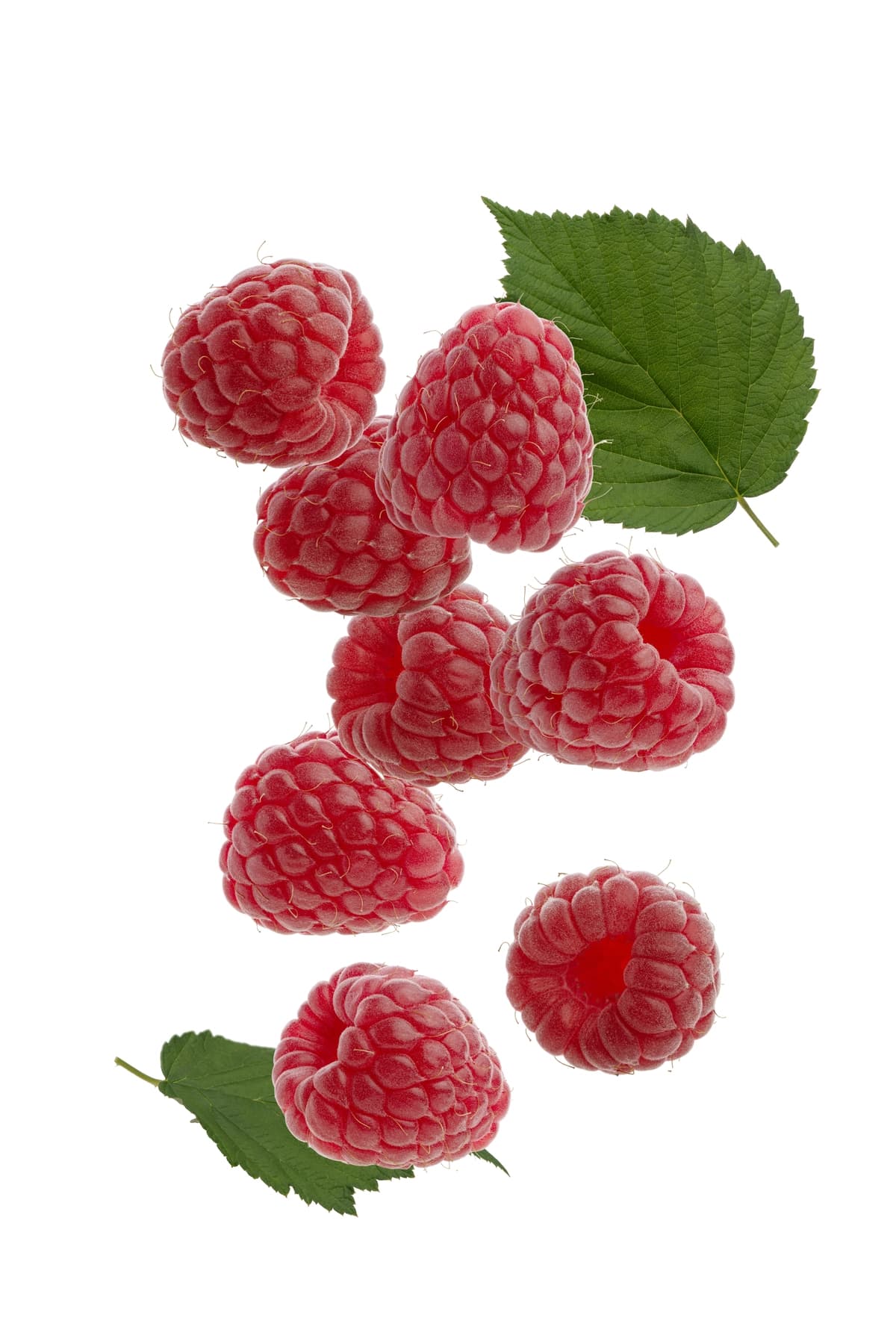Pishgan qizil malina mevalari, oq rangli izolyatsiyalangan fon | Berries ripe red raspberries white isolated background