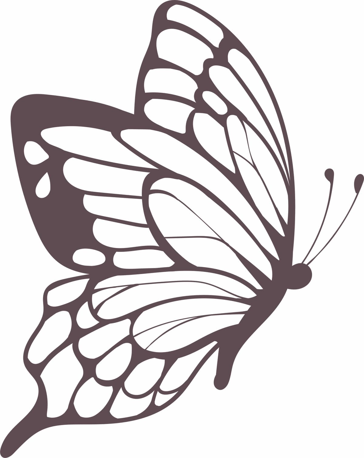 Kapalak | Butterfly