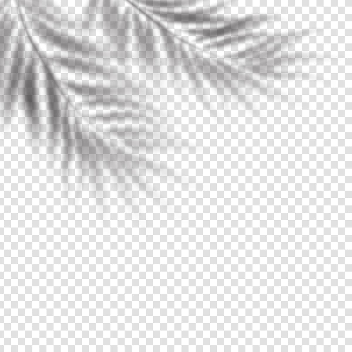 Haqiqiy palma bargi soyasi effekti | Realistic palm leaf shadow overlay effect