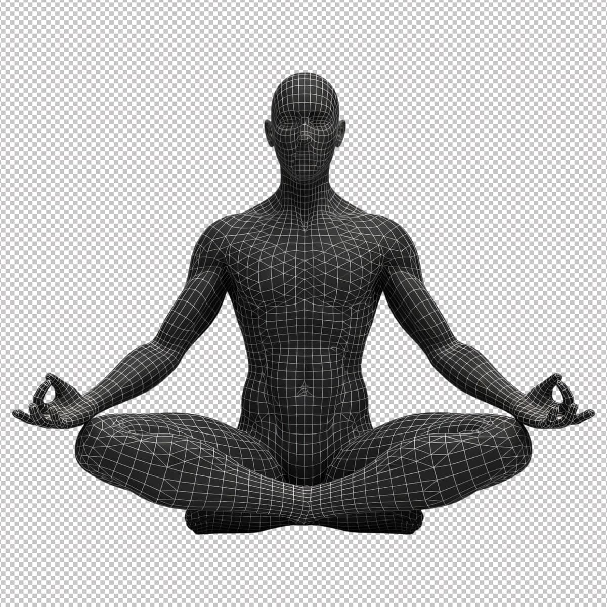 Lotus pozasida meditatsiya qilayotgan 3D simli ramka inson modeli | 3d wireframe human model meditating lotus pose