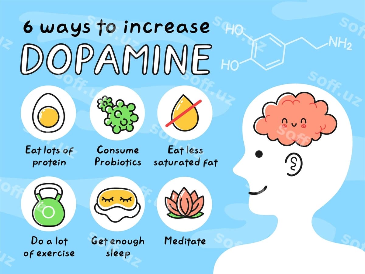 8 uslubda dopamenni oshirish infografikasi | 8 ways increase dopamine infographic
